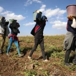 mevsimlik-tarim-iscilerinin-ca_1714300852_QvbrD1