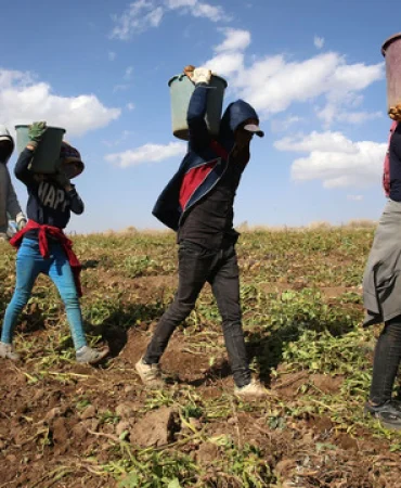 mevsimlik-tarim-iscilerinin-ca_1714300852_QvbrD1