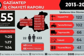 antep-infografik