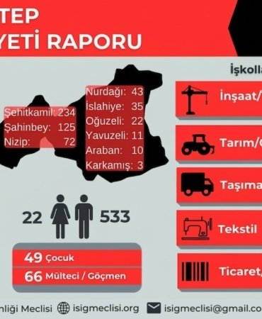 antep-infografik