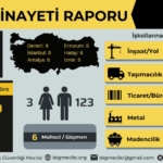 İŞ CİNAYETİ RAPORU - 1