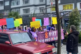 whatsapp-image-2026-03-08