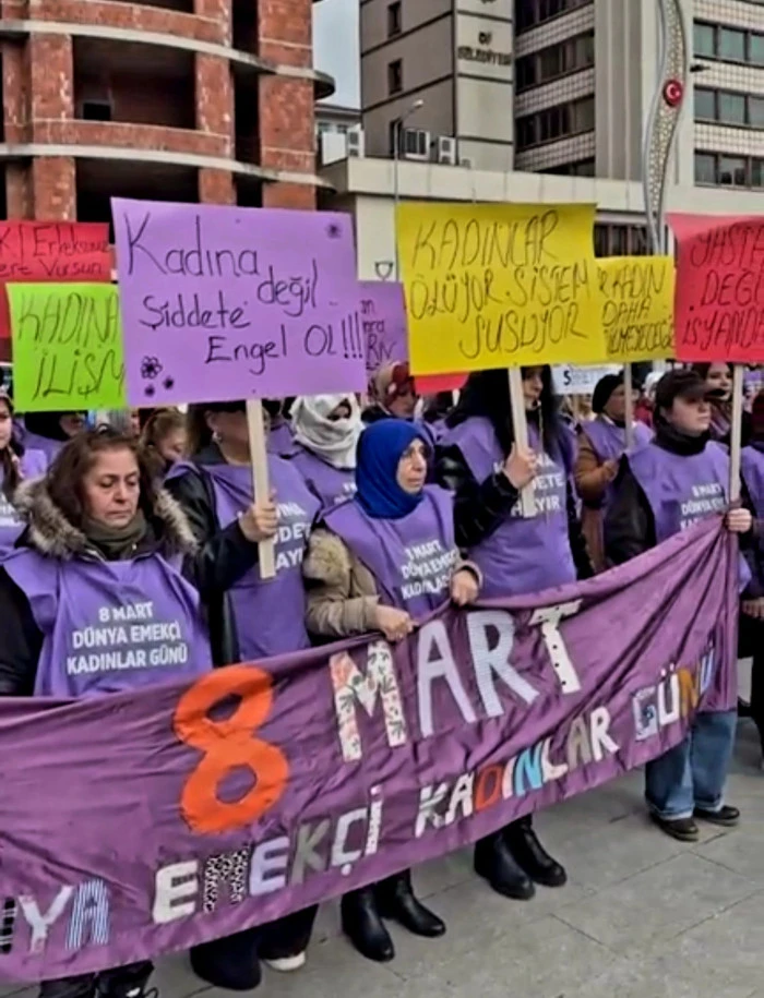 whatsapp image 2026 03 081