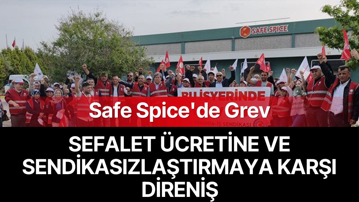 Safe Spice İşçileri Grevde: Sefalet Ücreti ve Sendikasızlaştırma Dayatmasına Karşı Mücadele