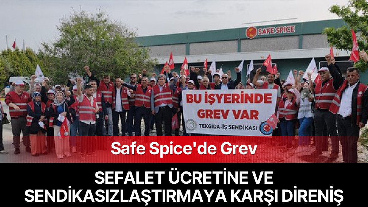 Safe Spice İşçileri Grevde: Sefalet Ücreti ve Sendikasızlaştırma Dayatmasına Karşı Mücadele