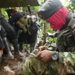 ELN