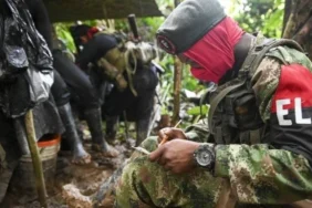 ELN