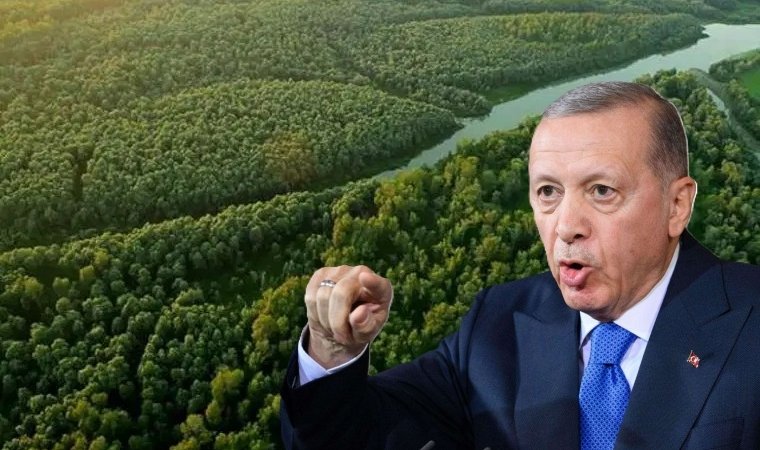 Cumhurbaşkanı Kararıyla 27 İlde Bazı Alanlar Orman Sınırları Dışına Çıkarıldı