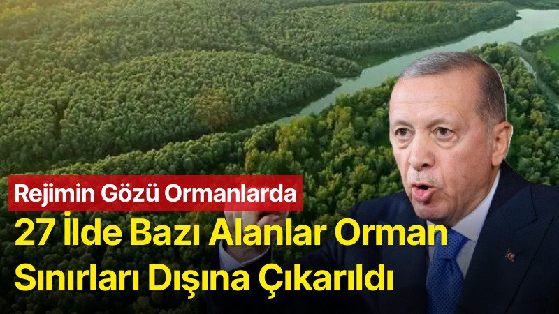 Cumhurbaşkanı Kararıyla 27 İlde Bazı Alanlar Orman Sınırları Dışına Çıkarıldı