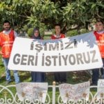 ibb ağaç işçileri