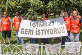 ibb ağaç işçileri