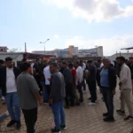 amed