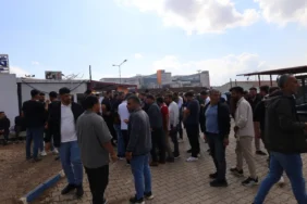 amed