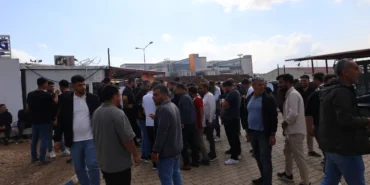 amed