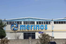 merinos